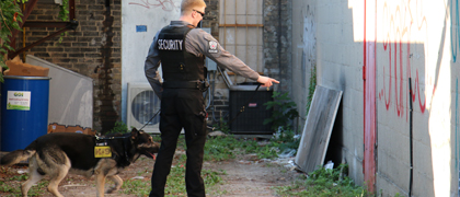 k9Detection3